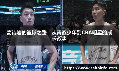 BB贝博艾弗森体育