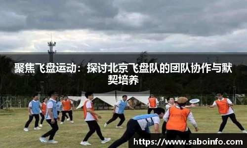 聚焦飞盘运动：探讨北京飞盘队的团队协作与默契培养